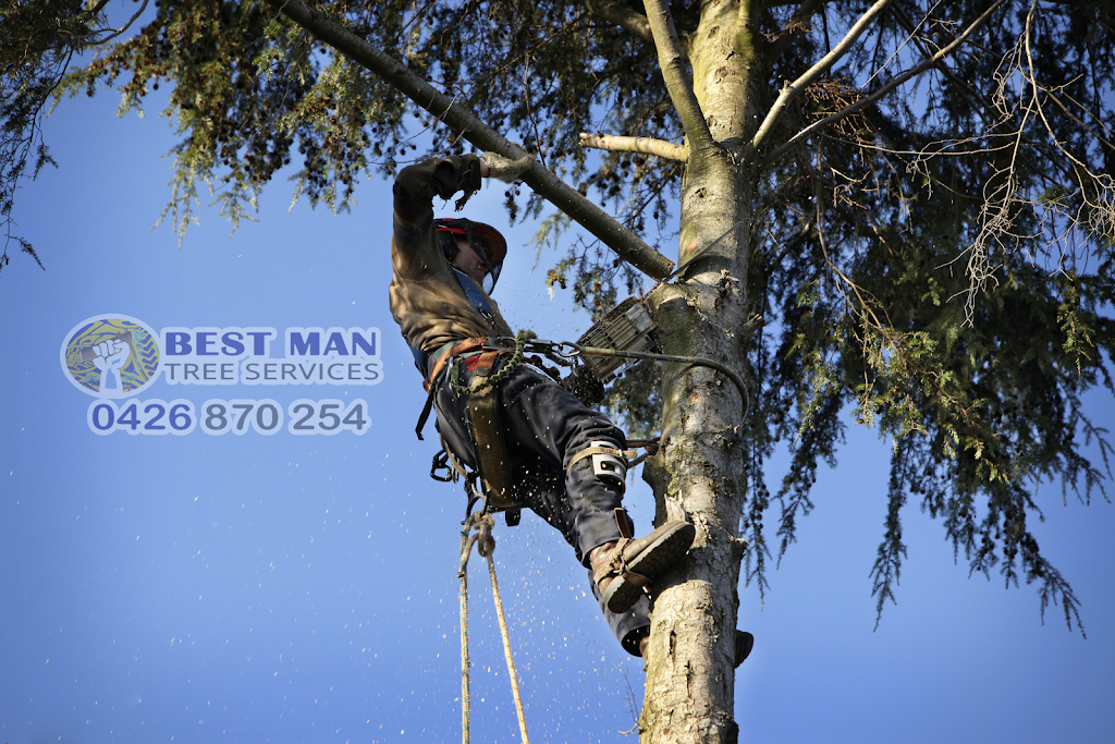 Best Man Tree Services | 3 Roscoe St, Kotara South NSW 2289, Australia | Phone: 0411 520 336