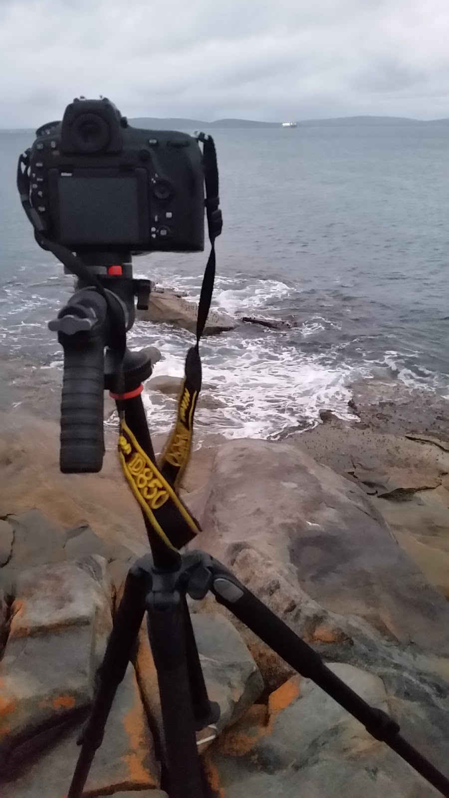 Frenchman bay beach | Frenchman Bay WA 6330, Australia