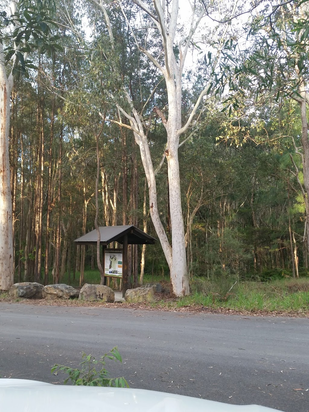 Ferny Forest MTB Trails | park | 2316 Steve Irwin Way, Landsborough QLD 4550, Australia