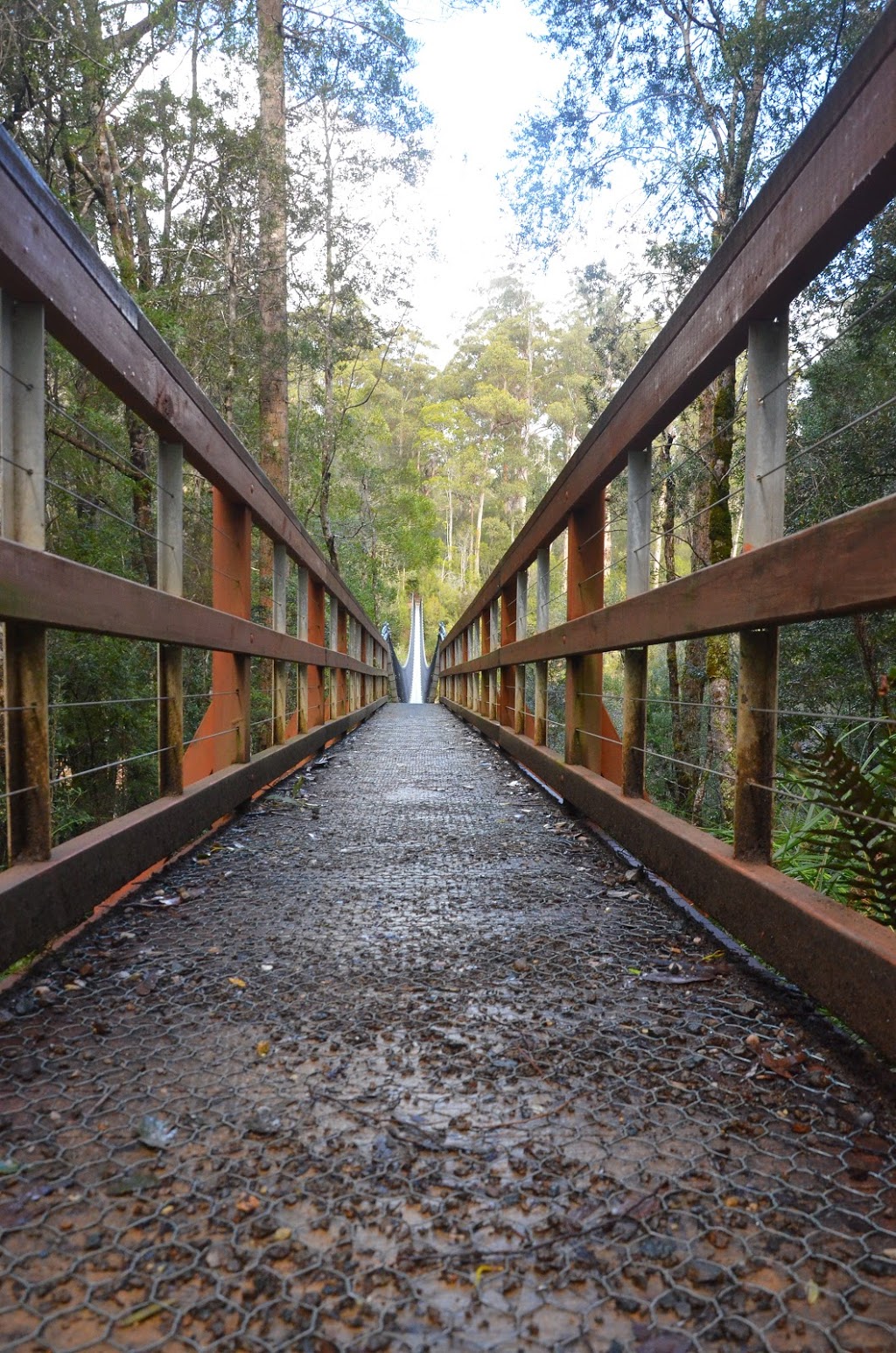 Tahune Forest Reserve | Southwest TAS 7139, Australia