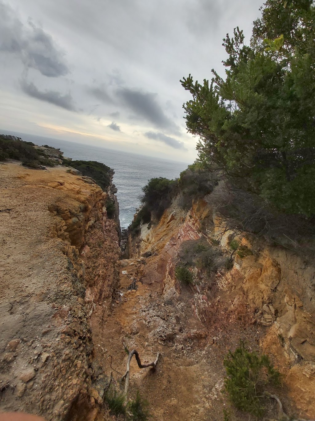 Royal national park coastal walk | Coast Track, Royal National Park NSW 2233, Australia