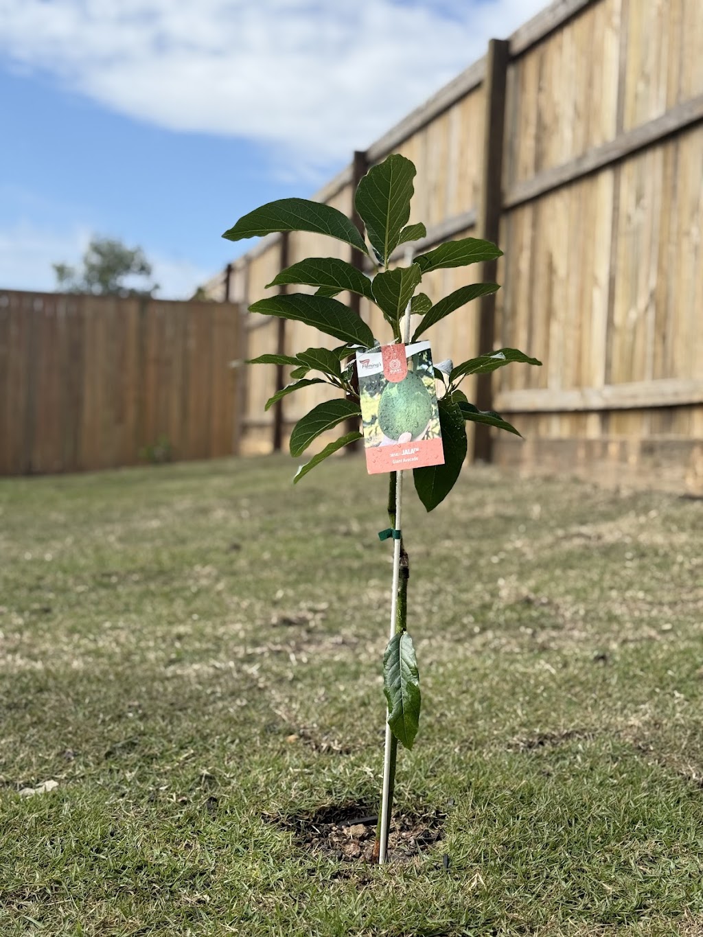 Next Level Fencing And Landscaping | 24 Mount Mee St, Park Ridge QLD 4125, Australia | Phone: 0423 946 734