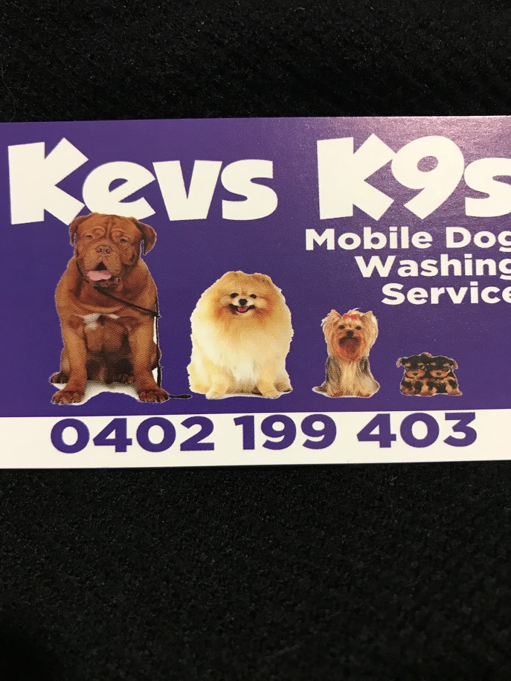 Kev’s K9’s Mobile Dog Grooming |  | Sutherland Ave, Hayborough SA 5211, Australia | 0402199403 OR +61 402 199 403
