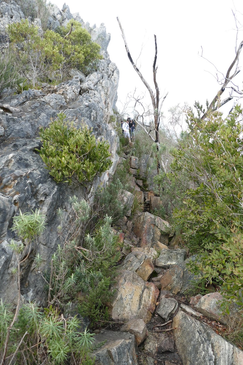 Razorback Ridge Track | Razorback Track, Taggerty VIC 3714, Australia