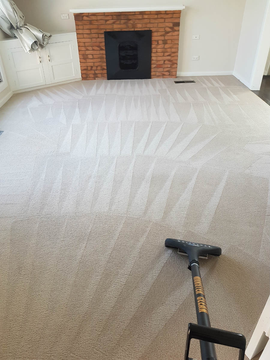 Monster Carpet & Hard Floor Cleaning | laundry | 549 Maroondah Hwy, Ringwood VIC 3134, Australia | 0478250900 OR +61 478 250 900