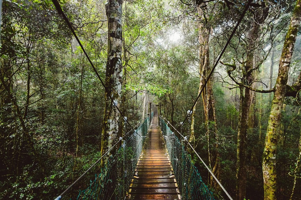 OReillys Rainforest Retreat | spa | 3582, Lamington National Park Rd, Canungra QLD 4275, Australia | 1800688722 OR +61 1800 688 722