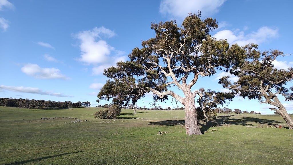 Ridgestone Retreat | Brinkworth Rd, Tungkillo SA 5236, Australia | Phone: 0437 654 453