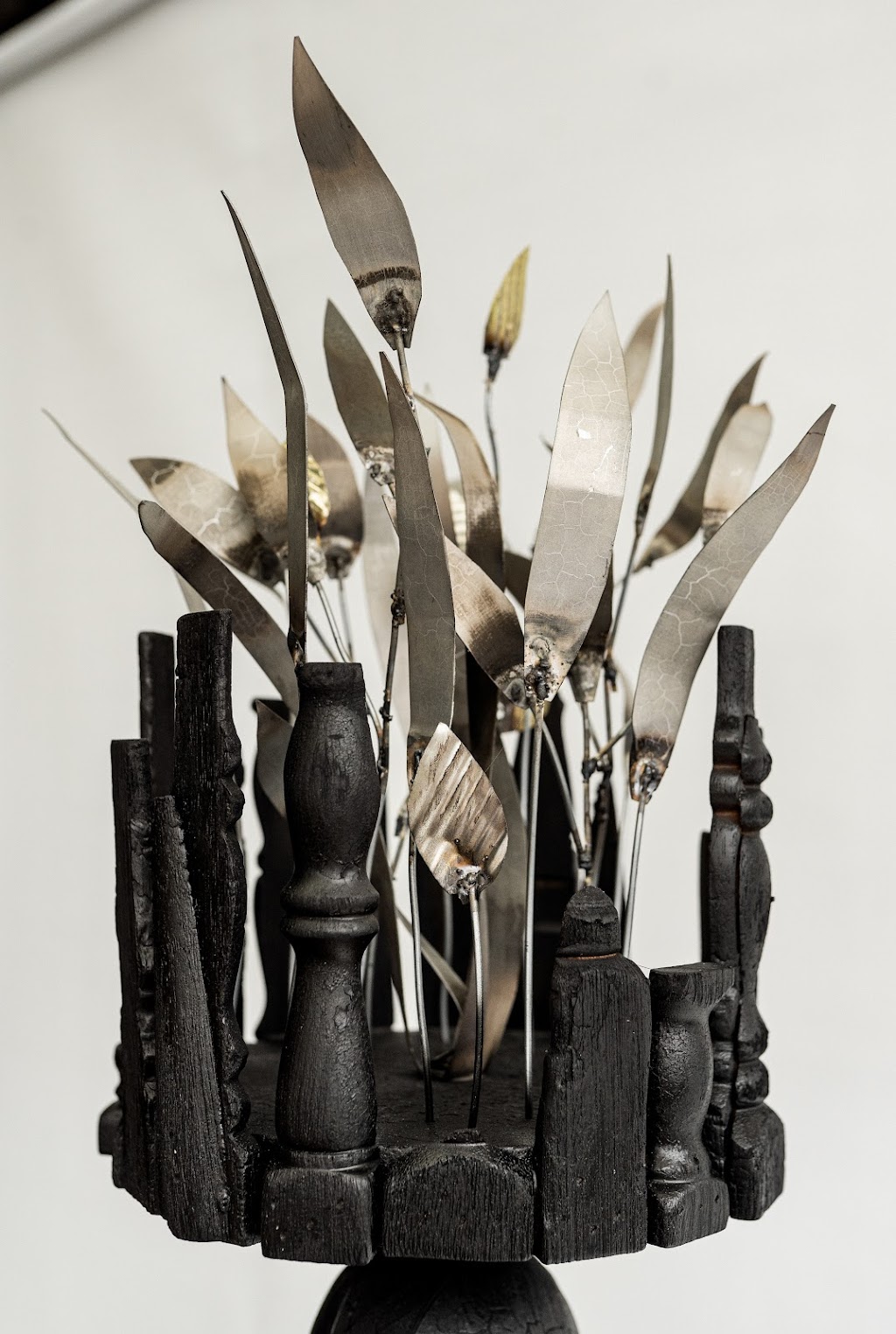 Black and Color house gallery | 26 Trout Stream Way, Macs Cove VIC 3723, Australia | Phone: 0449 052 599