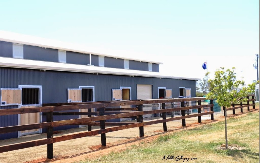 South Serenity Arabians | 285 Gehreys Ln, Kilmore VIC 3764, Australia | Phone: 0418 360 636