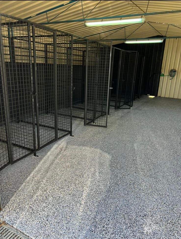 K9 Empire Lodge | 1305 Castlereagh Hwy, Lidsdale NSW 2790, Australia | Phone: 0450 248 402