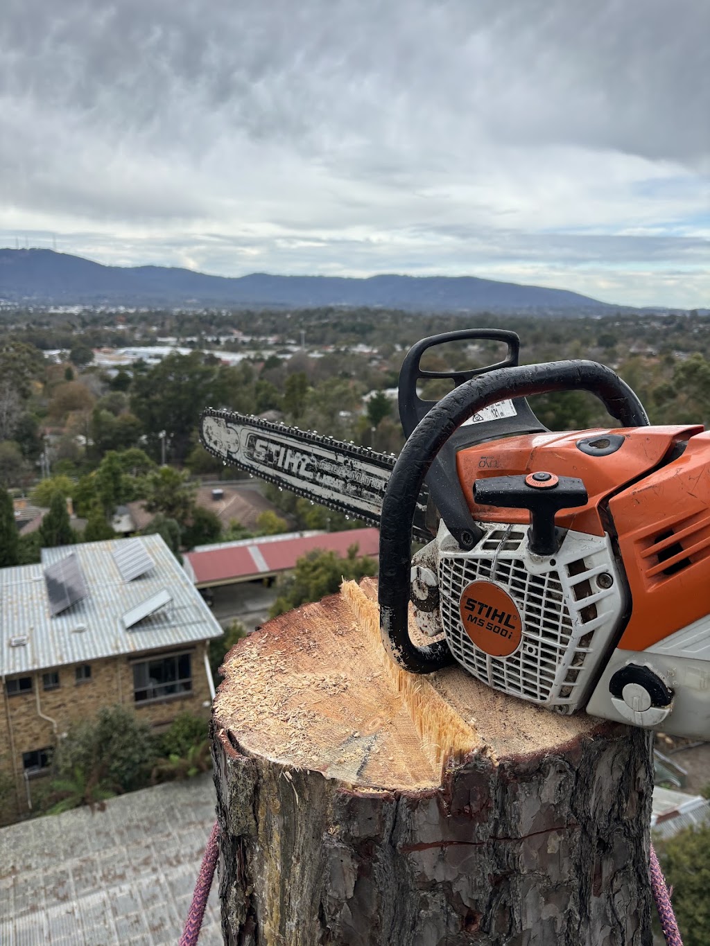 Bunyip Tree Solutions | 23 Doran Rd, Bunyip VIC 3815, Australia | Phone: 0421 286 983