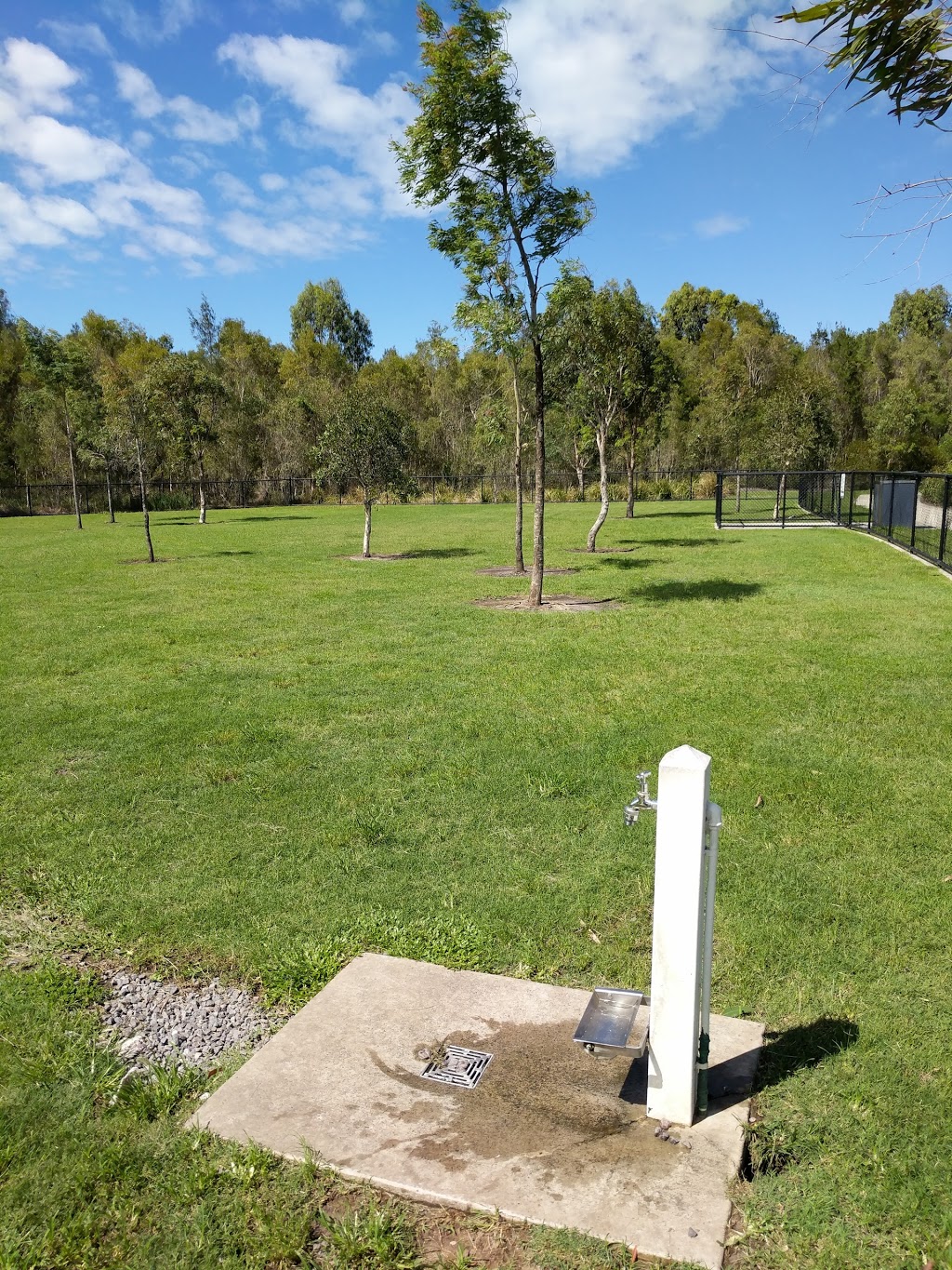 Brightwater Dog Park | park | Sporting Field, 21-27 Heliconia St, Mountain Creek QLD 4557, Australia