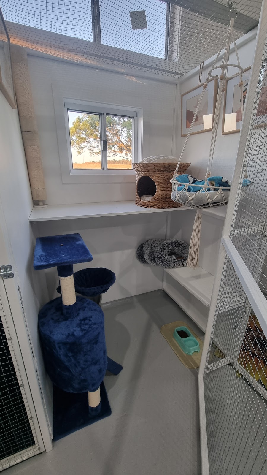 Purrfect Paws Cattery Maffra | 368 Falls Ln, Maffra VIC 3860, Australia | Phone: 0400 554 592