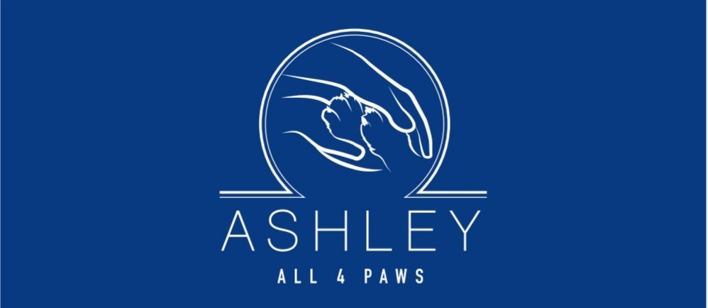 Ashley All 4 Paws | 147 Hull Rd, Croydon VIC 3136, Australia | Phone: 0409 797 956