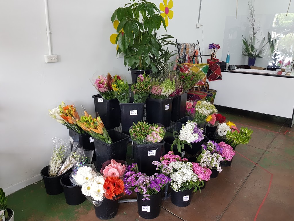 PLANTS R GO | 32 B Devon Rd, Pascoe Vale VIC 3044, Australia | Phone: 0413 997 593