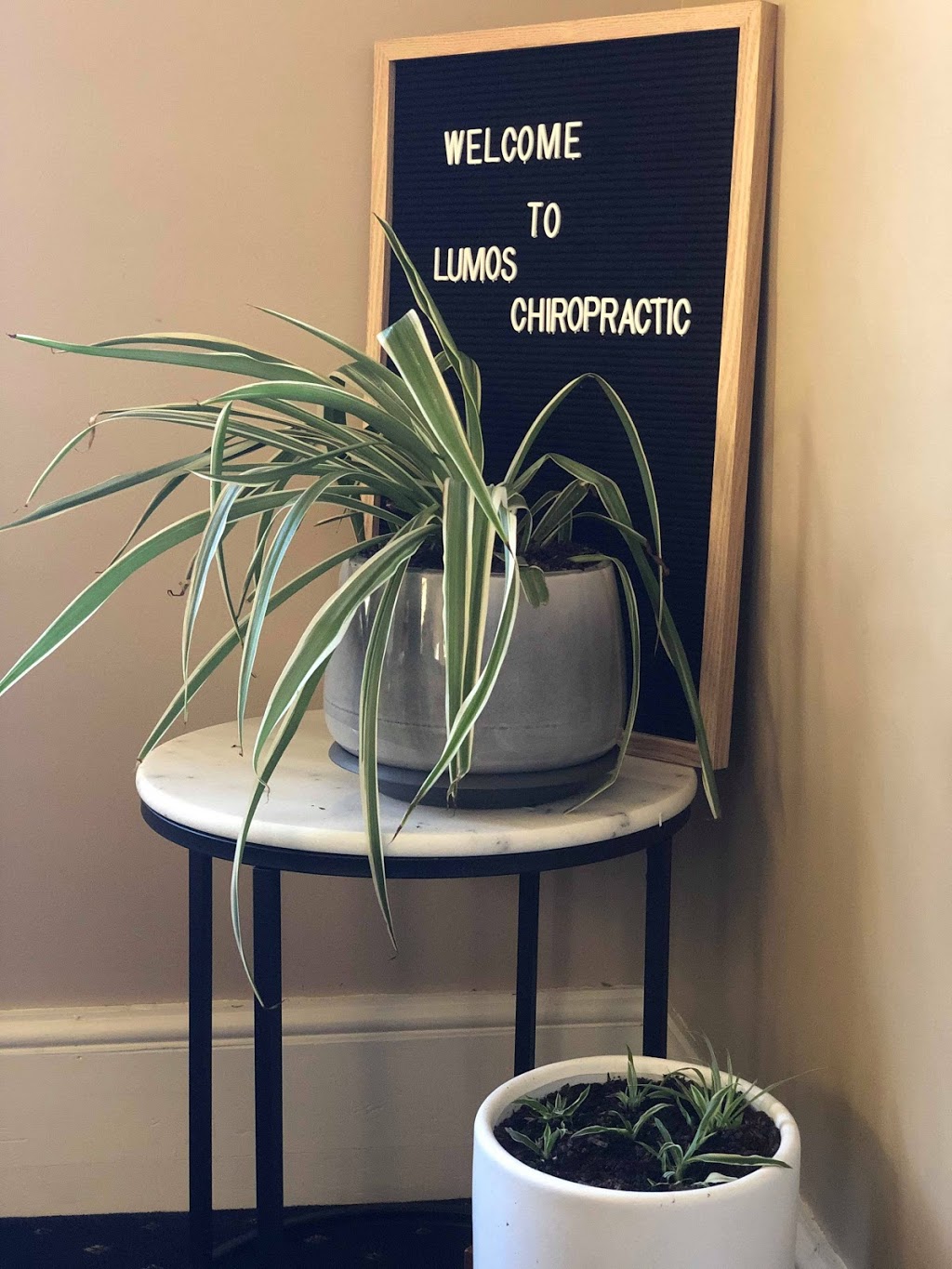 LUMOS CHIROPRACTIC | 432 Ligar St, ​Soldiers Hill VIC 3350, Australia | Phone: 0449 290 349