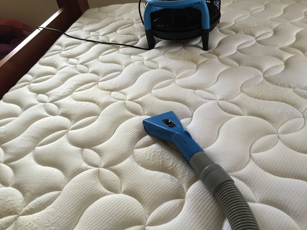 Camden Haven Carpet Cleaning | laundry | 8 Comboyne St, Kendall NSW 2439, Australia | 0265590200 OR +61 2 6559 0200