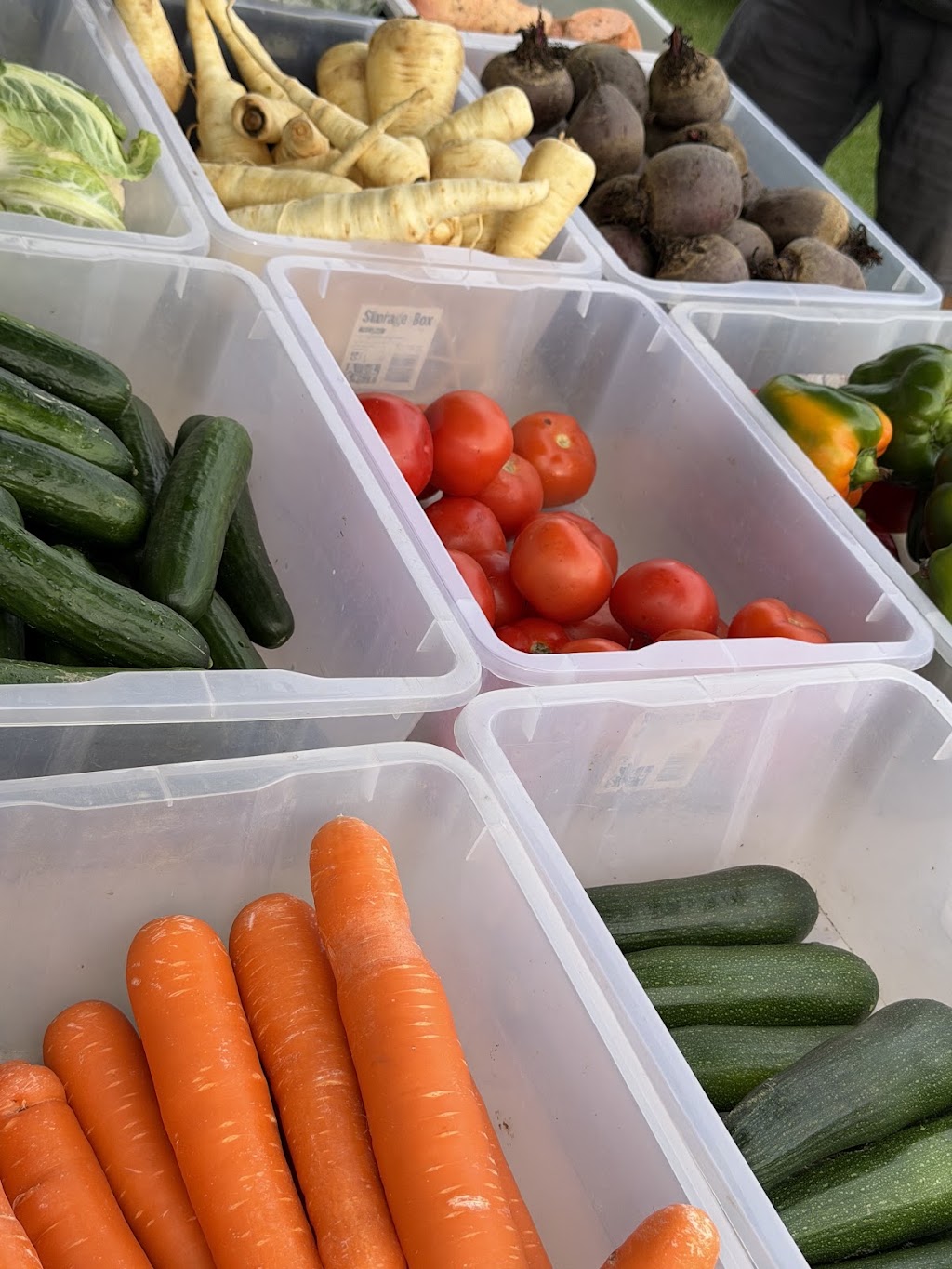 Strong Organics | 131 Millbank Rd, Terara NSW 2540, Australia | Phone: 0402 882 785