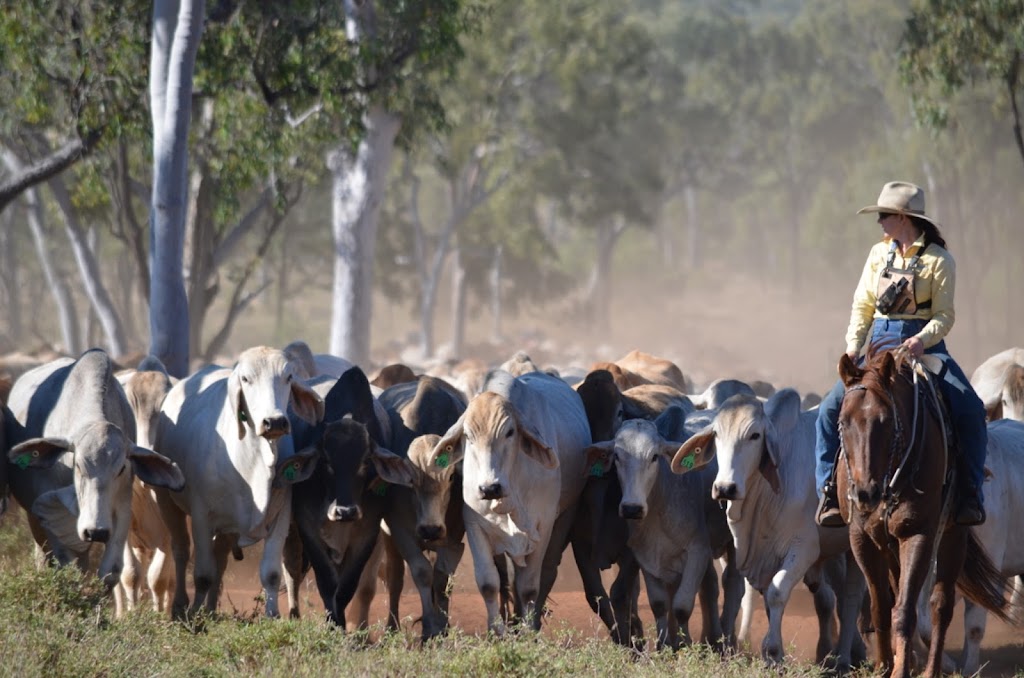 Clermont Community Business Group | Station Platform, Herschel St, Clermont QLD 4721, Australia | Phone: 0448 629 799