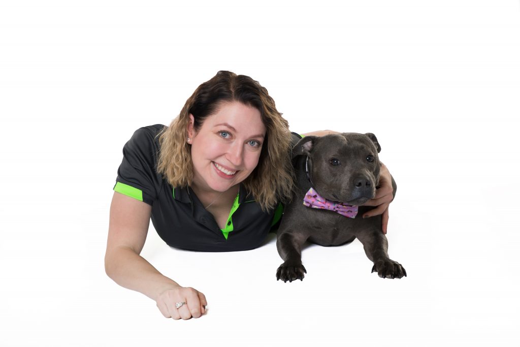 Eazy Dog Training | 8 Alice St, Newtown NSW 2042, Australia | Phone: 0404 022 114