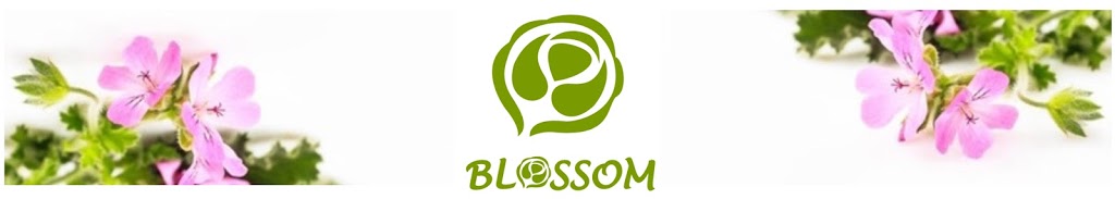 Blossom Bodycare - Natural, Organic Facial Treatment & Massage | 1171 Eumundi Kenilworth Rd, Belli Park QLD 4562, Australia | Phone: 0439 762 303