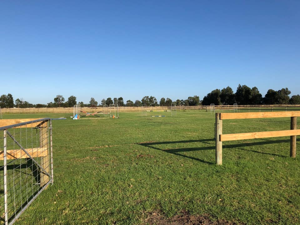 Willow Lane Equestrian Centre | 296 Pillars Rd, Bangholme VIC 3175, Australia | Phone: 0400 920 366