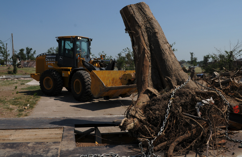 Caboolture Tree Removal North lakes |  | 3 Mason Ave, Kallangur QLD 4503, Australia | 0730640688 OR +61 7 3064 0688