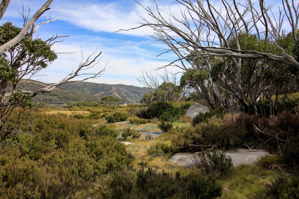 Heathy Spur Walking Track | park | Falls Creek VIC 3699, Australia