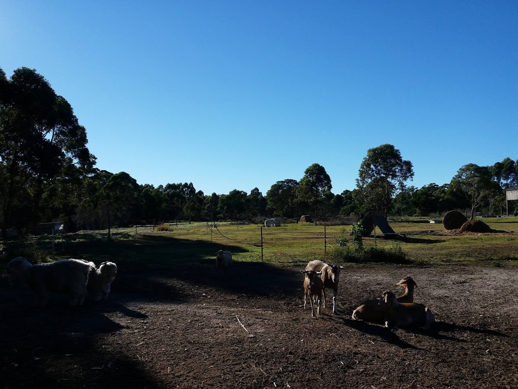 Waygara Farm Tours | zoo | 248 Waygara Rd, Waygara VIC 3888, Australia | 0351543145 OR +61 3 5154 3145