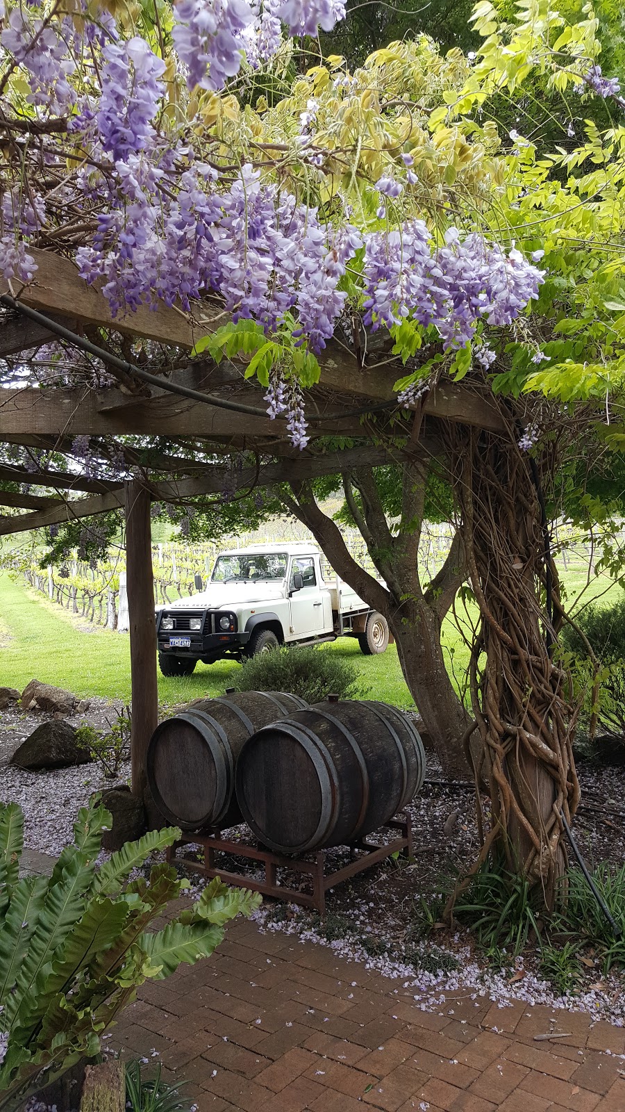 Donnelly River Wines | tourist attraction | Lot 159 Vasse Hwy, Peerabeelup WA 6260, Australia | 0897762016 OR +61 8 9776 2016