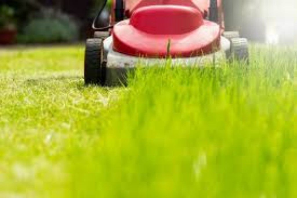 Me-I-Mow Lawns & Maintenance | 1 Tamar Ave, Toukley NSW 2263, Australia | Phone: 0404 110 329