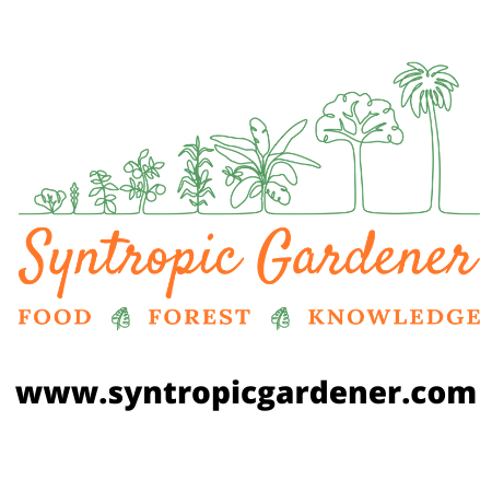 Syntropic Gardener | 128 Bonnydoon Rd, Uki NSW 2484, Australia | Phone: 0431 394 756