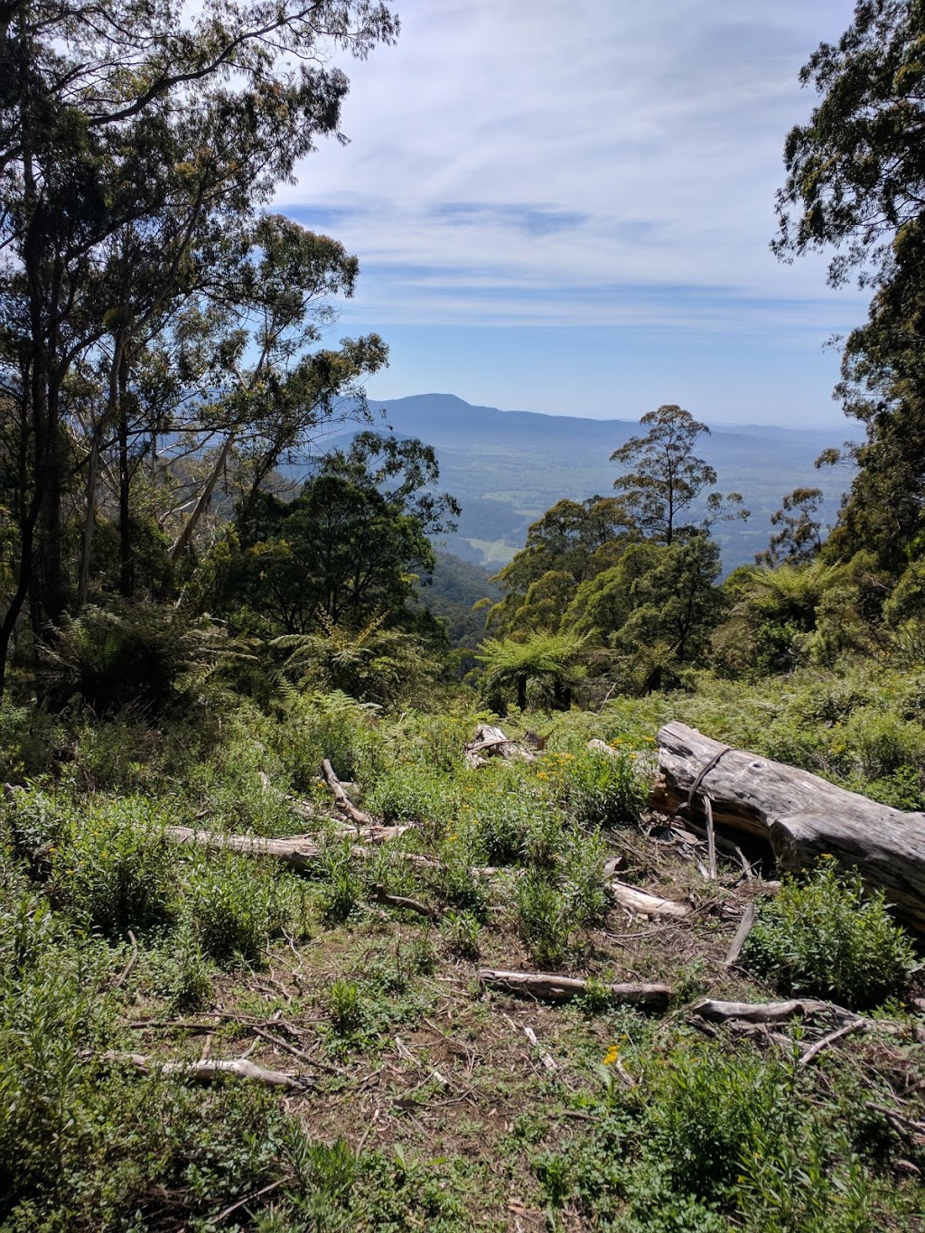 South East Forests National Park | Mount Darragh Road, Coolangubra NSW 2550, Australia | Phone: (02) 6495 5000