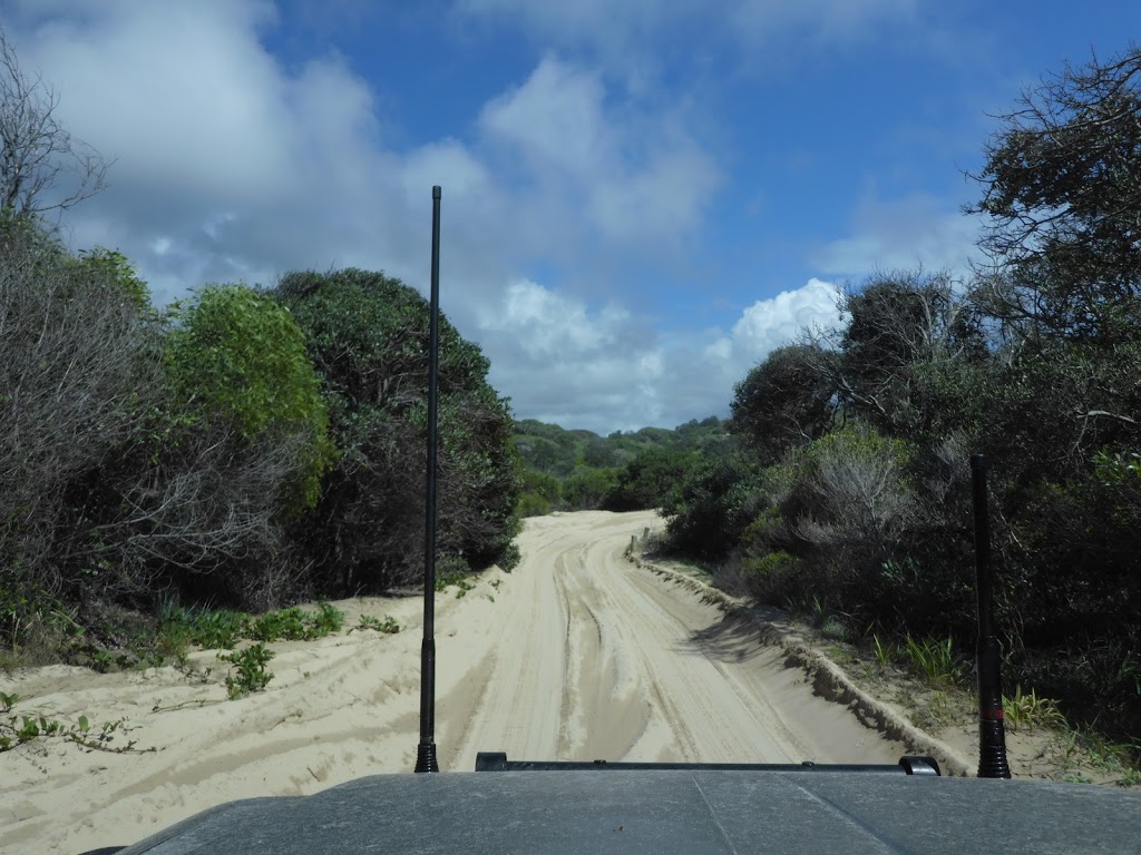 Driftwood on Fraser | 11 Euenmundi Ct, Fraser Island QLD 4581, Australia | Phone: 0419 715 914