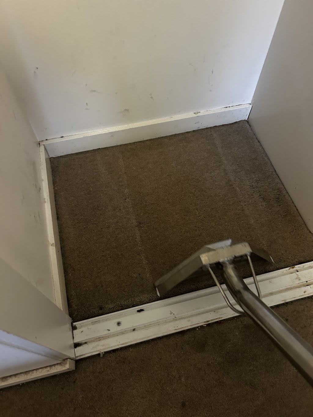 Clean Geniee Cleaning and Housekeeping Services | 4 Tennyson Ave, Clayton South VIC 3169, Australia | Phone: 0468 448 704
