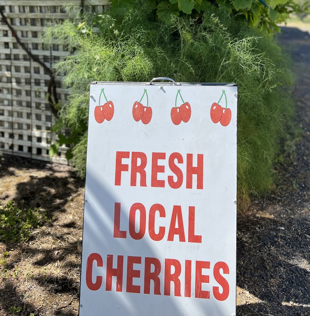 Dhanda Fresh Cherries n Figs |  | 3 Melrose Dr, Raglan NSW 2795, Australia | 0431726060 OR +61 431 726 060