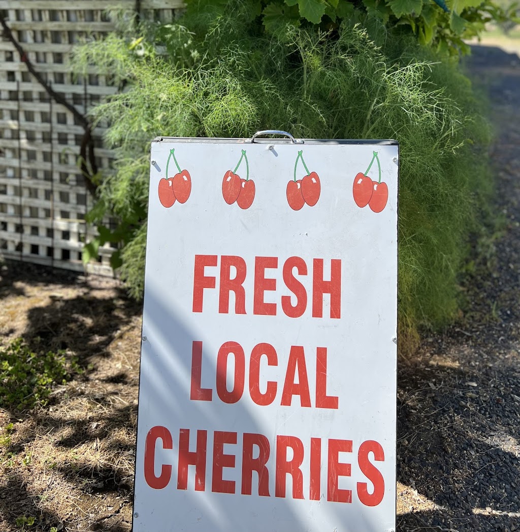 Dhanda Fresh Cherries n Figs | 3 Melrose Dr, Raglan NSW 2795, Australia | Phone: 0431 726 060