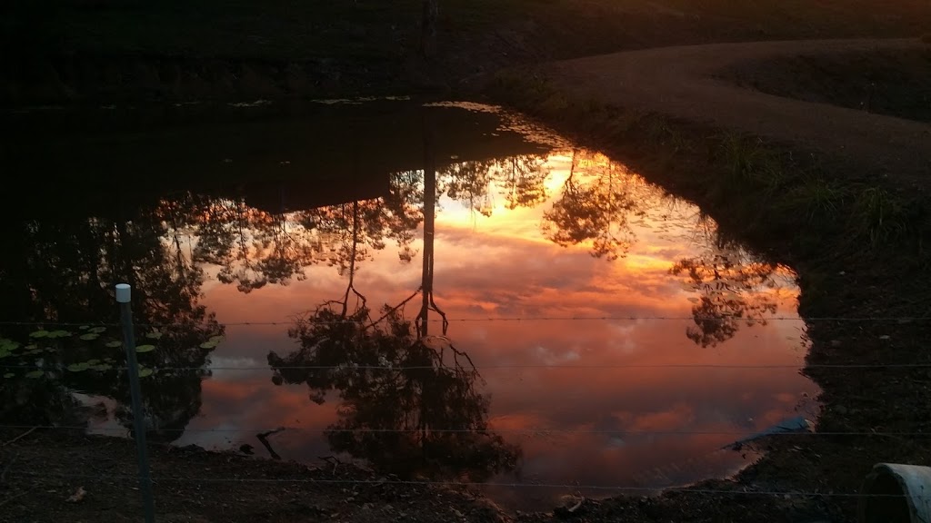 Ride On Mary...Kayak & Bike Bush Adventures | 578 Lowe Rd, Bollier QLD 4570, Australia | Phone: 0400 297 678