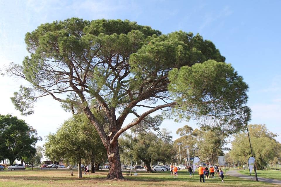 Wagga parkrun | Eastlake Dr & Lake St, Lake Albert NSW 2650, Australia