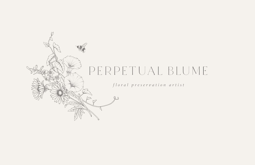 Perpetual Blume | 106 Carroll Cct, Cooranbong NSW 2265, Australia | Phone: 0411 316 636