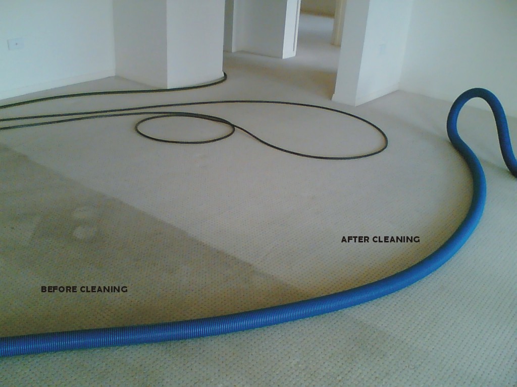 Steve Scotts Carpet Care | Chifley Ct, Collingwood Park QLD 4301, Australia | Phone: 0438 818 034