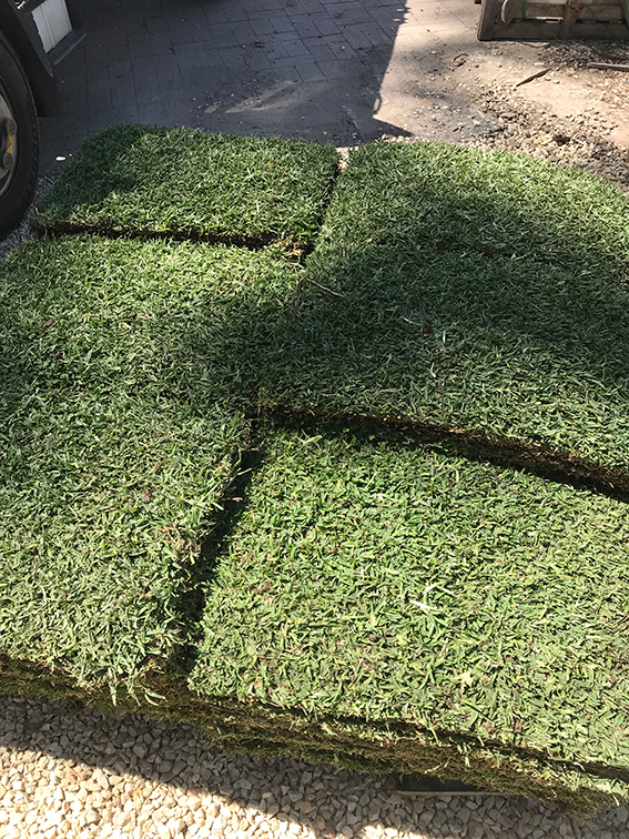 Lawn Block Turf | 661 Mundoolun Connection Rd, Boyland QLD 4275, Australia | Phone: (07) 5541 7077