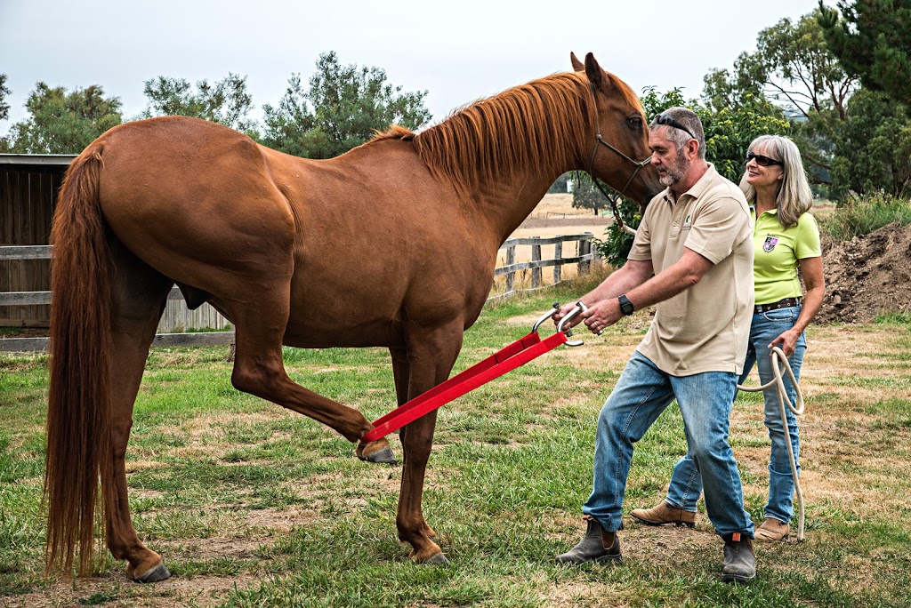 Ranges Animal Biomechanical Medicine | 66 Wisemans Ln, Newham VIC 3442, Australia | Phone: 0459 055 245