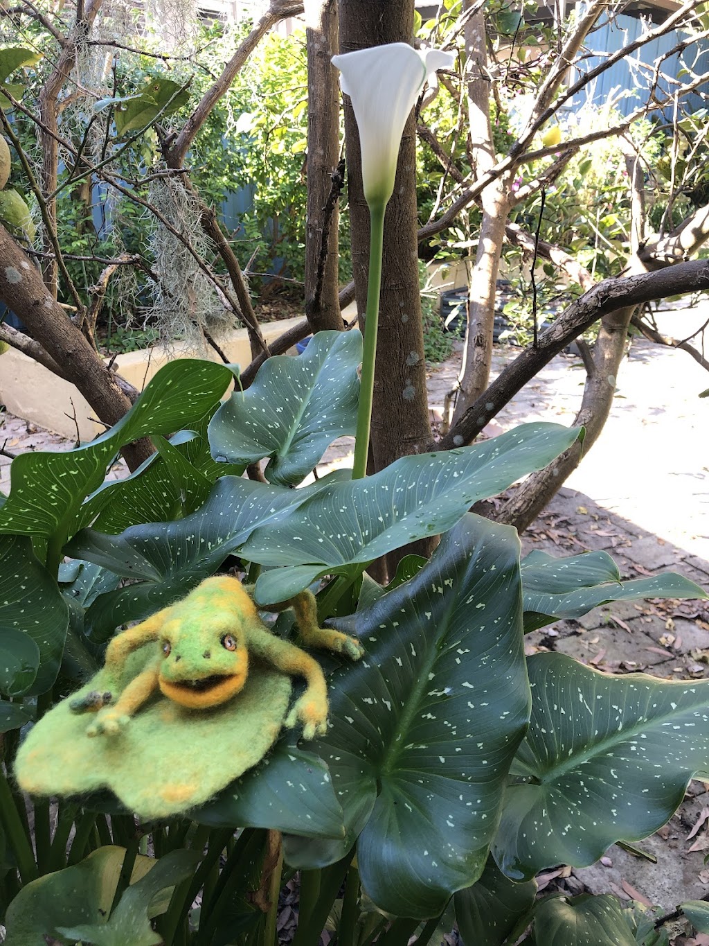 Needle felting by Am | 6 Annette Pl, Belrose NSW 2085, Australia | Phone: 0420 920 851