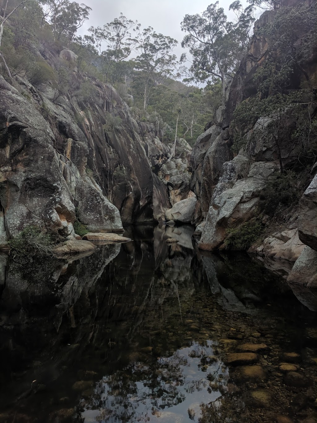 Mount Barney National Park - Burnett Creek QLD 4310, Australia