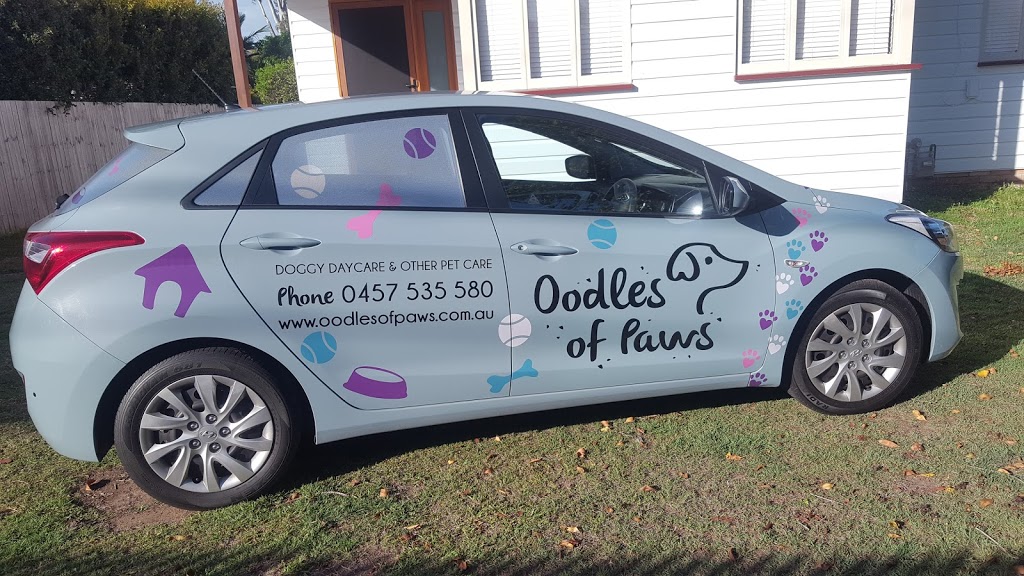Oodles of Paws | Lota QLD 4179, Australia | Phone: 0457 535 580