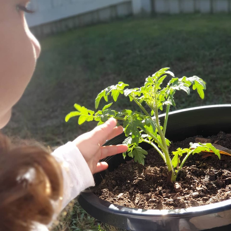 Nurturing Family Day Care Scheme |  | 157 Coes Creek Rd, Coes Creek QLD 4560, Australia | 0410691709 OR +61 410 691 709