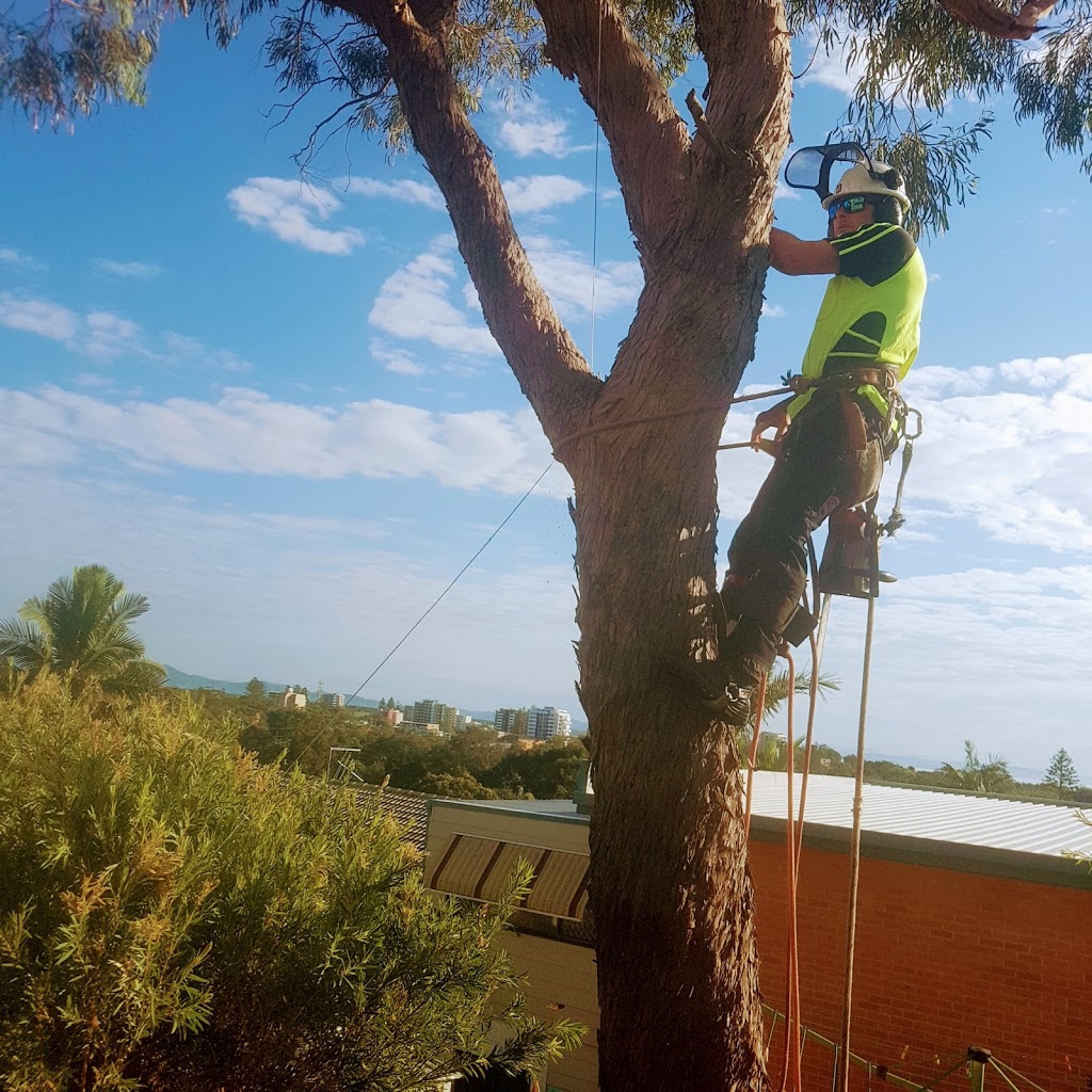 TLC Tree Service. |  | 50 South St, Tuncurry NSW 2428, Australia | 0408713171 OR +61 408 713 171
