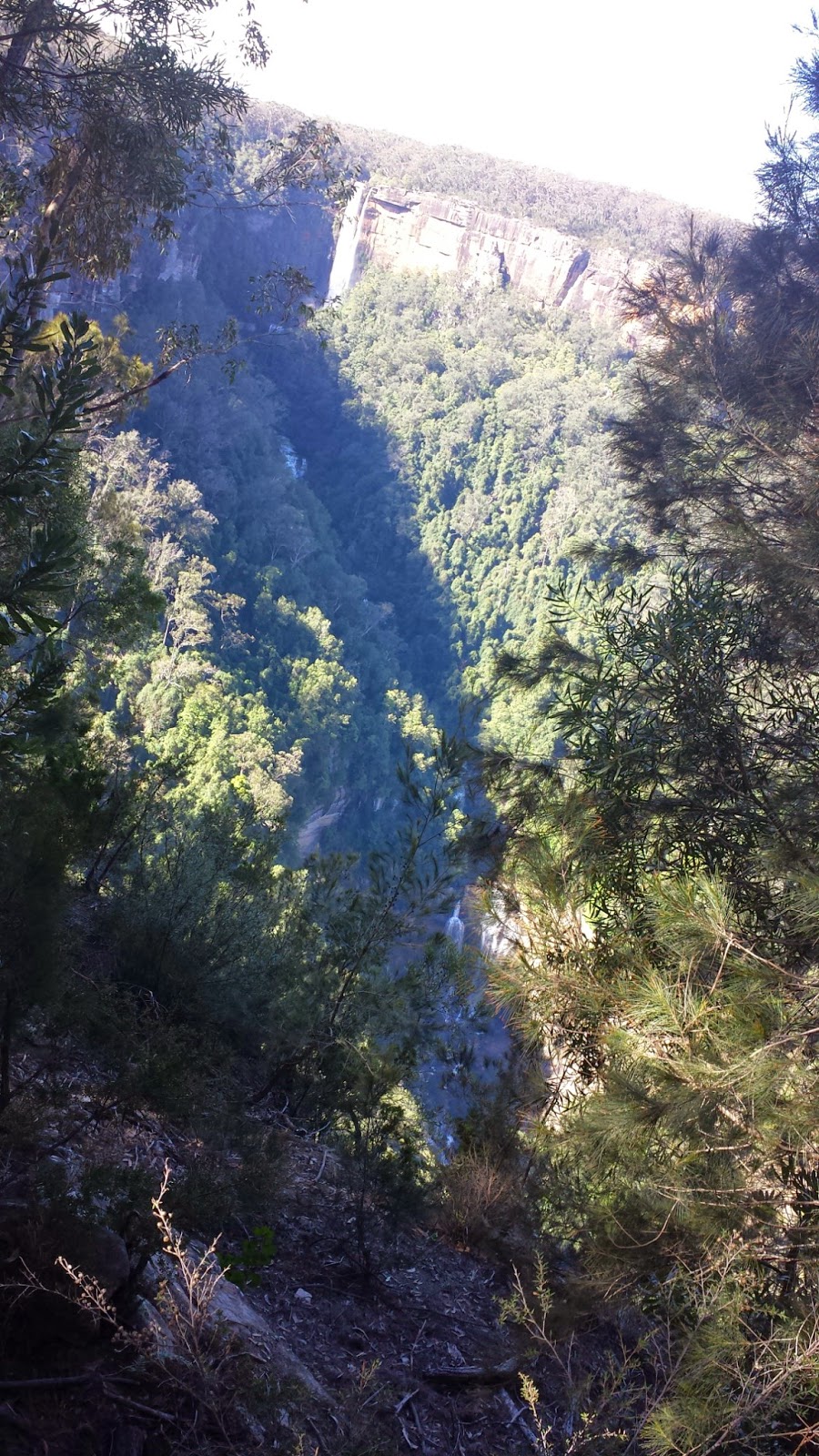 Meryla State Forest | Fitzroy Falls NSW 2577, Australia | Phone: 1300 655 687