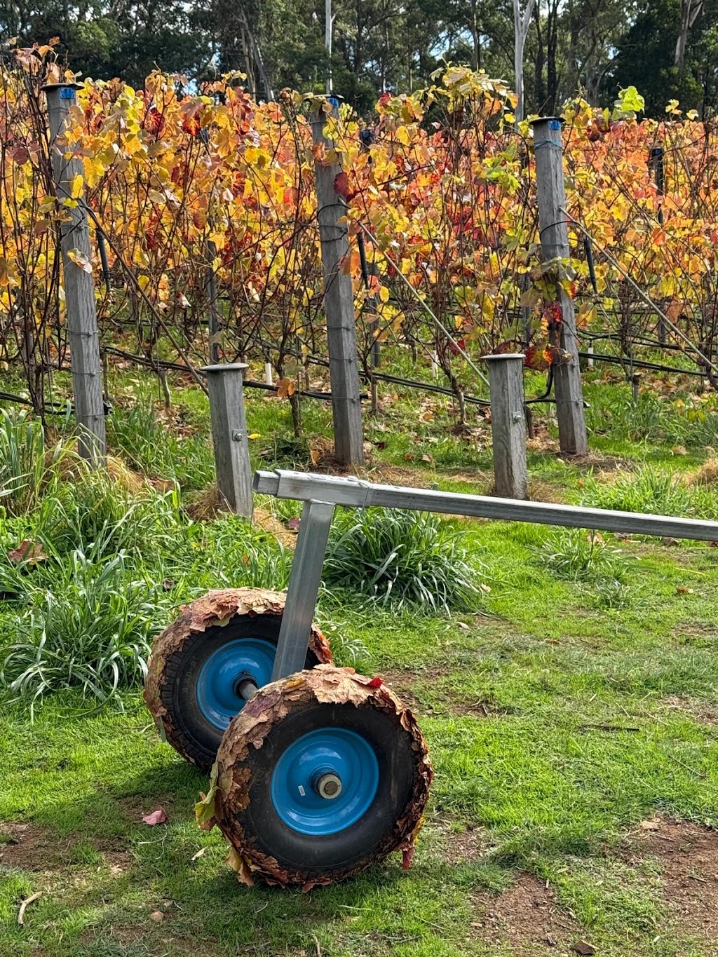 Clarries Track | 20 Donald Lane, Newbury VIC 3458, Australia | Phone: 0419 682 391